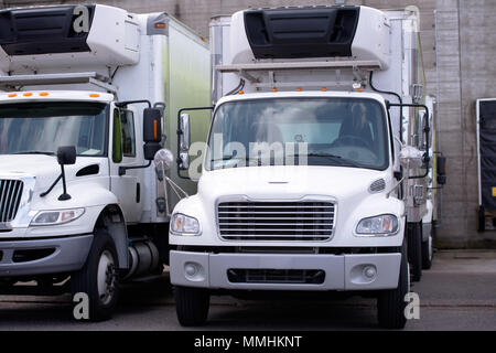 Middle Class white semi Trucks verschiedene Marken und Modelle mit Kältemaschine auf Box Anhänger für lokale verschieben und Delivery Services in Ro stehend Stockfoto