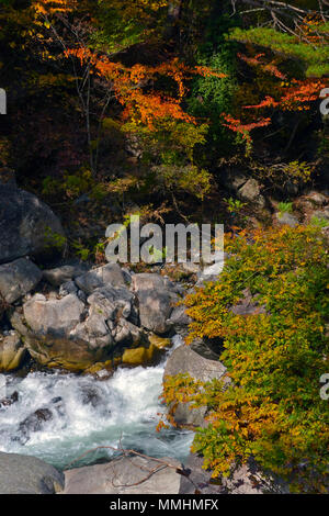 Fall colors around Shosenkyo Gorge, Japan Stockfoto