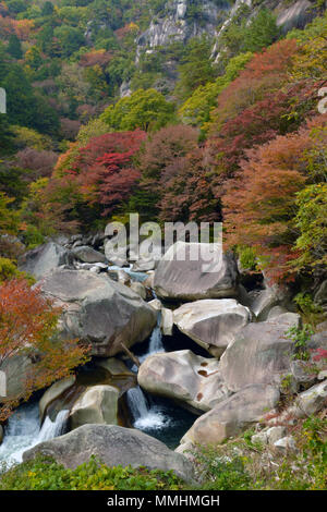 Fall colors  around Shosenkyo Gorge, Japan Stockfoto