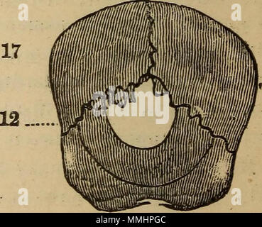 "Die praktischen phrenologist und Recorder und delineator der Charakter und die Talente der [Leerzeichen], [blank] markiert: ein Kompendium von phreno-organischen Wissenschaft" (1869) Stockfoto