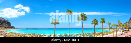 Panoramablick auf den berühmten Strand von Amadores und der Strandpromenade mit Palmen. Spanisch Resort. Gran Canaria, Kanarische Inseln, Spanien Stockfoto