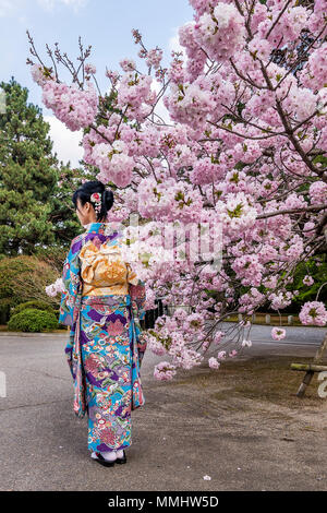 Mädchen mit Kimono in der Nähe von einem Kirschbaum in voller Blüte im Frühling, Japan Stockfoto