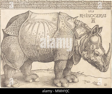 R -20101201-0031.jpg Albrecht Dürer (1471 - 1528), das Rhinozeros, 1515, Holzschnitt, Rosenwald Sammlung Albrecht Dürer - Die Nashörner (NGA 1964.8. 697) Stockfoto