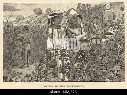 . Englisch: File name: 10 09 000175 Titel: Sammlung von wilden Brombeeren Creator/Contributor: Homer, Winslow, 1836-1910 (Künstler) Ausgabedatum: 1880-04 Physische Beschreibung drucken: 1: holzstich Genre: Holzstiche; periodische Illustrationen Hinweise: Erschienen in: Scribner's Monthly, April 1880, S. 806. Sammlung: Winslow Homer Sammlung Ort: Boston Public Library, Drucken Abteilung Rechte: Keine bekannten Einschränkungen Flickr Daten auf 2011-08-11: Kamera: Epson Exp 10000XL 10000 Tags: Winslow Homer User: Boston Public Library BPL. 5 Mai 2011, 11:47:33. BPL Sammeln wilden Brombeeren (Boston Pu Stockfoto