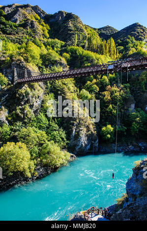 AJ Hackett Bungy Jumping auf dem Kawarau Brücke über den Kawarau River in der Nähe von Queenstown, Südinsel, Neuseeland Stockfoto