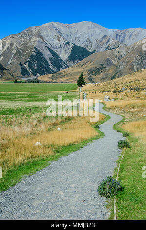 Führender Pfad Craigieburn Forest Park von der Castle Hill, Südinsel, Neuseeland Stockfoto