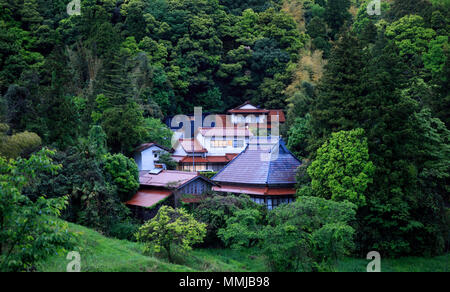 Große japanische Haus von üppigen grünen Wald umgeben, auf der Bergseite in ländlichen Präfektur Shimane Stockfoto