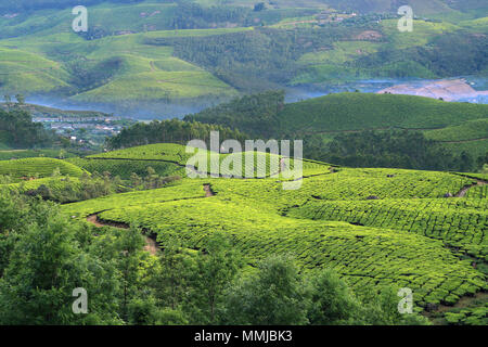 MUNNAR - Landschaft Stockfoto