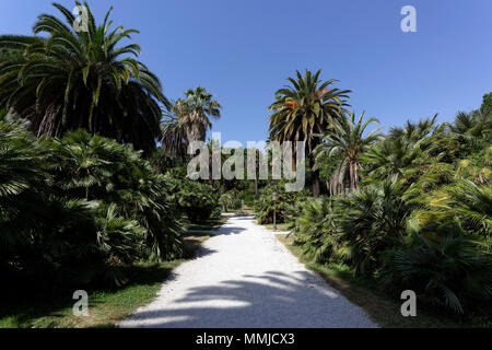 Viale delle Palme (Avenue des Palmen), die dem Springbrunnen von Tritons an der Orto Botanico di Roma oder Roms botanischen Garten führt. Auf Stockfoto