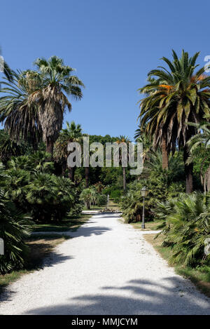 Viale delle Palme (Avenue des Palmen), die dem Springbrunnen von Tritons an der Orto Botanico di Roma oder Roms botanischen Garten führt. Auf Stockfoto