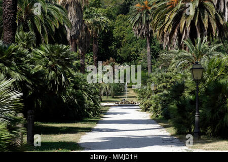 Viale delle Palme (Avenue des Palmen), die dem Springbrunnen von Tritons an der Orto Botanico di Roma oder Roms botanischen Garten führt. Auf Stockfoto