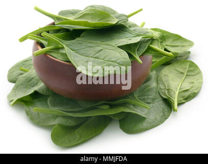 Frischer Spinat in einer Schüssel über weißem Hintergrund Stockfoto