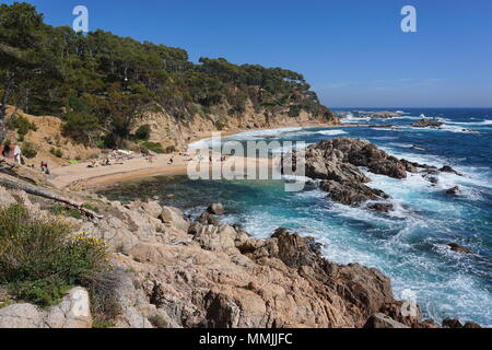 Spanien Costa Brava Strand und Felsen in Cala Estreta Cove in der Nähe von Calella de Palafrugell, Mittelmeer, Katalonien, Baix Emporda Stockfoto