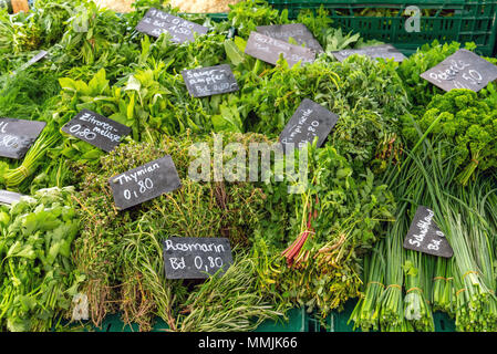 Verschiedene Arten von frischen Kräutern für den Verkauf auf dem Markt Stockfoto