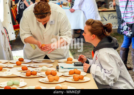 Ayrshire, UK. 12. Mai 2018. An einem heißen und sonnigen Tag, die jährliche Ayr County Show in Ayr Rennstrecke Hunderte von Teilnehmern in die Landwirtschaft Wettbewerbe und auch Tausende Zuschauer angezogen. Neben den üblichen Wettbewerben für Rinder, Schafe und Geflügel, gab es Preise für die Sieger der männlichen und weiblichen "Junge Landwirte Tauziehen" Wettbewerb und für die beste verzierte Lkw Kredit: Findlay/Alamy leben Nachrichten Stockfoto