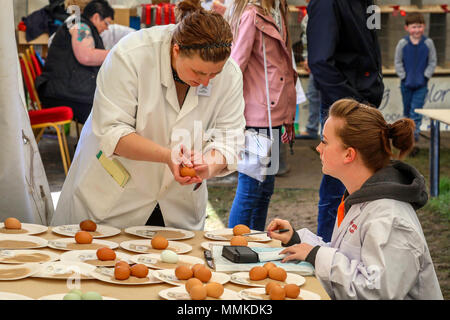 Ayrshire, UK. 12. Mai 2018. An einem heißen und sonnigen Tag, die jährliche Ayr County Show in Ayr Rennstrecke Hunderte von Teilnehmern in die Landwirtschaft Wettbewerbe und auch Tausende Zuschauer angezogen. Neben den üblichen Wettbewerben für Rinder, Schafe und Geflügel, gab es Preise für die Sieger der männlichen und weiblichen "Junge Landwirte Tauziehen" Wettbewerb und für die beste verzierte Lkw Kredit: Findlay/Alamy leben Nachrichten Stockfoto