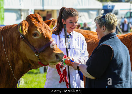 Ayrshire, UK. 12. Mai 2018. An einem heißen und sonnigen Tag, die jährliche Ayr County Show in Ayr Rennstrecke Hunderte von Teilnehmern in die Landwirtschaft Wettbewerbe und auch Tausende Zuschauer angezogen. Neben den üblichen Wettbewerben für Rinder, Schafe und Geflügel, gab es Preise für die Sieger der männlichen und weiblichen "Junge Landwirte Tauziehen" Wettbewerb und für die beste verzierte Lkw Kredit: Findlay/Alamy leben Nachrichten Stockfoto