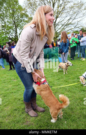 London, Großbritannien. 12. Mai 2018. Richter Pip Tomson an der Alle Hunde gleich große Hampstead Rinde aus, Hampstead, London. Alle Hunde egal ist eine Wohltätigkeitsorganisation zu helfen und Re-homing Hunde unter www. alldogsmatter.de für weitere Informationen. Quelle: Paul Brown/Alamy leben Nachrichten Stockfoto