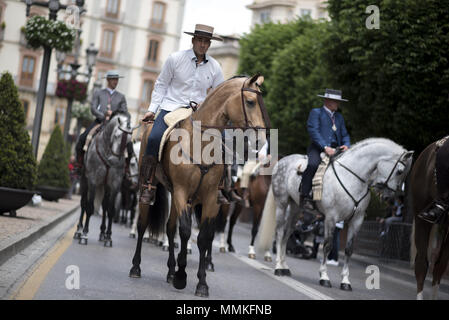 Granada, Granada, Spanien. 12. Mai 2018. Reiter mit ihren Pferden entlang Granada Straßen während der Prozession von El Rocio. Die "Romeria del Rocio'' ist eines der beliebtesten Feste in Andalusien, Tausende von Pilgern in Almonte Dorf (Huelva) anzubeten, Virgen del Rocio gehen. Credit: Carlos Gil/SOPA Images/ZUMA Draht/Alamy leben Nachrichten Stockfoto