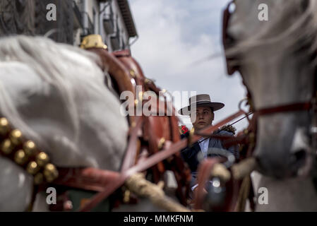 Granada, Granada, Spanien. 12. Mai 2018. Ein Mann, der eine Karre während der Prozession von El Rocio in Granada. Die "Romeria del Rocio'' ist eines der beliebtesten Feste in Andalusien, Tausende von Pilgern in Almonte Dorf gehen (Huelva) anzubeten, Virgen del Rocio. Credit: Carlos Gil/SOPA Images/ZUMA Draht/Alamy leben Nachrichten Stockfoto
