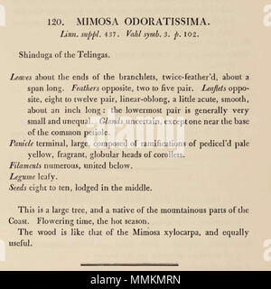 . Englisch: Beschreibung von Albizia odoratissima - "Pflanzen von der Küste von Coromandel: von Zeichnungen und Beschreibungen die Hon ausgewählt. Der Verwaltungsrat der/Publikation info die East India Company': London: Gedruckt von W. Bulmer und Co. für G. Nicol, Buchhändler, 1795-1819. . Vor 1819. Roxburgh, William, 1751-1815. Banken, Joseph, Sir, 1743-1820. Bulmer, William, 1757-1830. Mackenzie, D. Nicol, G. 33 Albizia odoratissima 02a Stockfoto