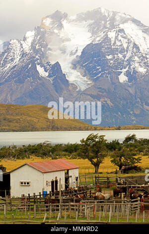 Estancia in Patagonien, Chile Stockfoto