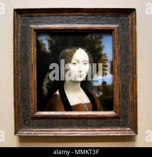 Ginevra de'Benci. 1474-1478. Ginevra de'Benci von Leonardo da Vinci Stockfoto