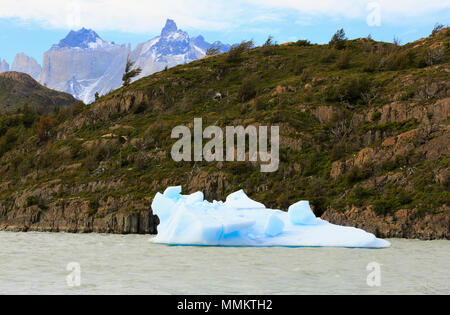 Blauer Eisberg in Lago Grey, Torres del Paine Nationalpark, Patagonien Stockfoto