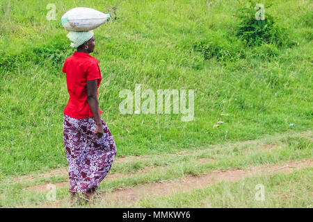 Arusha, Tansania, Afrika - Januar 12, 2013: eine junge Frau geht, die eine schwere Tasche auf den Kopf für eine lange Strecke zu Hause. Mangel der Transporte in die Region, die Menschen viel auf der Straße zu Fuß von Stadt zu Hause zu bewegen Stockfoto