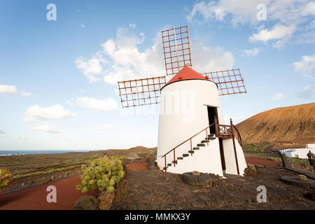 JARDIN DE CACTUS - der Kaktus Garten, Lanzarote, Kanarische Inseln, Spanien: Die Mühle im Garten. Stockfoto