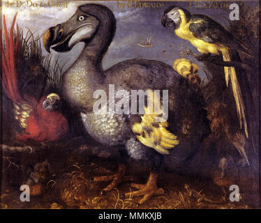 . Einer der bekanntesten und oft kopierte Gemälde einer Dodo Muster, wie von Roelant Savery in den späten 1620er Jahren gemalt. Das Bild kam in den Besitz der Ornithologe George Edwards, der später an das Britische Museum, daher der Name. Der Vogel schlucken ein Frosch in der unteren rechten kann der ebenfalls ausgestorbenen Rot Schiene. Es ist auch vorgeschlagen worden, dass die beiden Papageien die ausgestorben sind weniger Antillean Macaw (links) und Martinique Macaw (rechts). . Späten 1620er Jahren. Roelant Savery (1576-1639) Alternative Namen Roelant Saverij, Roeland Savery, Roeland Maertensz. Savery, Roelandt Savery, Stockfoto