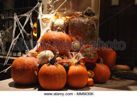 Front Porch von Custom Home mit weißen Bank und flowerspots im