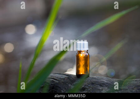 Ätherisches Öl. Ätherische Öl der Pfefferminze in einem kleinen braunen Flasche. Stockfoto