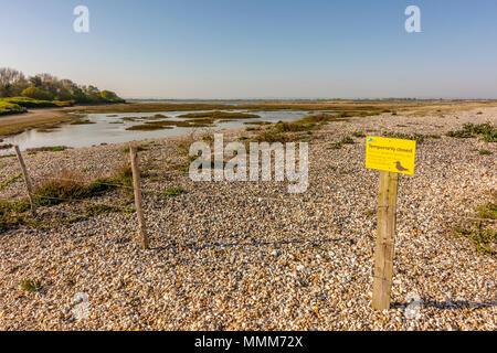 Die Westseite der Pagham Harbour Naturschutzgebiet in der Nähe von Norton, West Sussex, UK. Stockfoto