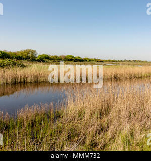 Die Westseite der Pagham Harbour Naturschutzgebiet, West Sussex, UK. Stockfoto