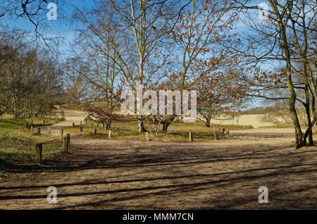 Eintrag Boberger Dünen im Naturschutzgebiet Boberger Niederung in Hamburg Deutschland Stockfoto