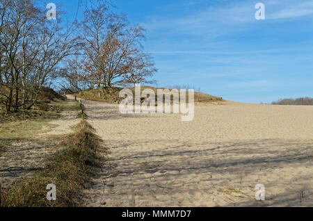 Malerischer Blick auf Boberger Dünen im Naturschutzgebiet Boberger Niederung in Hamburg Deutschland Stockfoto