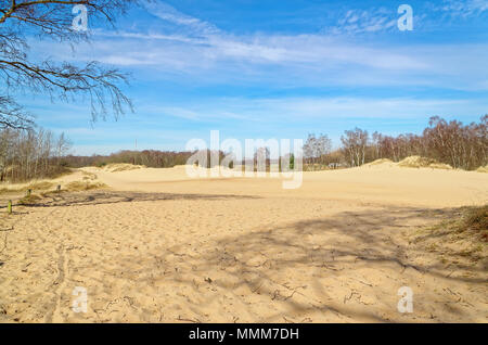 Panoramablick auf die Boberger Dünen im Naturschutzgebiet Boberger Niederung in Hamburg, Deutschland Stockfoto