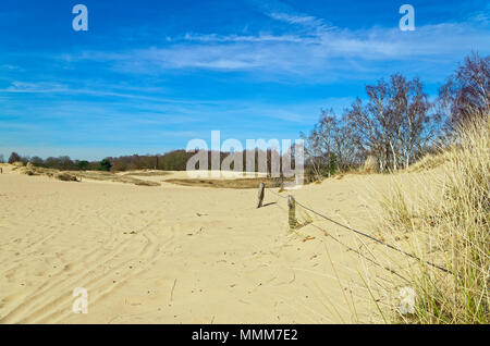 Panoramablick auf die Boberger Dünen im Naturschutzgebiet Boberger Niederung in Hamburg, Deutschland Stockfoto