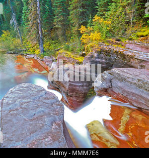 Deadwood fällt auf Reynolds Creek im Glacier National Park, Montana Stockfoto