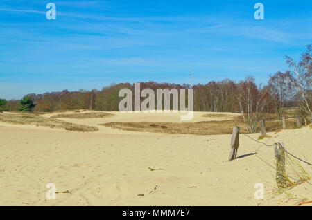 Panoramablick auf die Boberger Dünen im Naturschutzgebiet Boberger Niederung in Hamburg, Deutschland Stockfoto