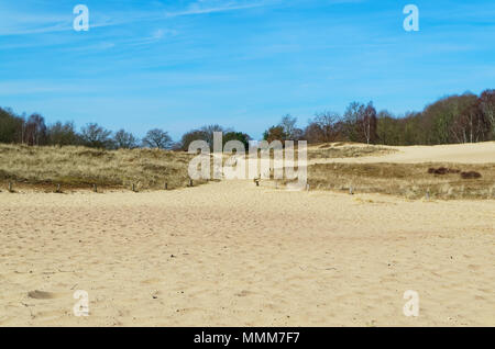 Panoramablick auf die Boberger Dünen im Naturschutzgebiet Boberger Niederung in Hamburg, Deutschland Stockfoto