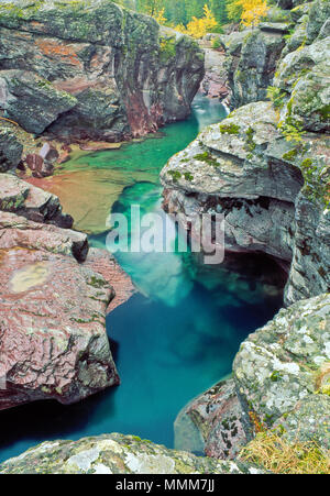 Herbst Farben entlang mcdonald Creek durch eine Schlucht im Glacier National Park, Montana Stockfoto