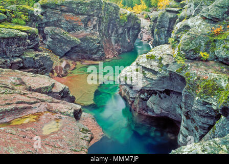 Herbst Farben entlang mcdonald Creek durch eine Schlucht im Glacier National Park, Montana Stockfoto