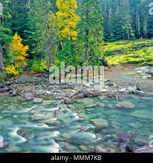 Misty Herbst morgen zusammen mcdonald Creek im Glacier National Park, Montana Stockfoto