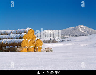 Heuballen in einem verschneiten Feld unterhalb des schwarzen Berges an der kontinentalen Kluft in der Nähe von avon, montana Stockfoto