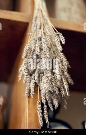 Frisch getrocknete Kräuter Bündel verschiedener Kräuter, die an der Wand hängen Stockfoto