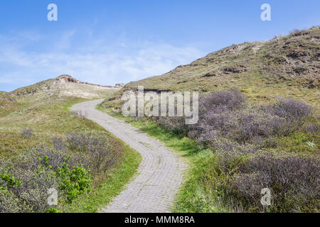 Nationalpark Dünen Niederlande Stockfoto