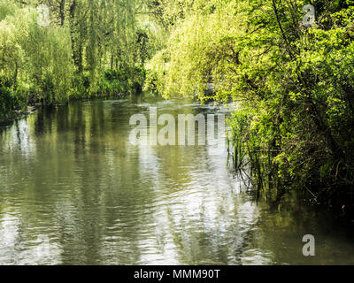 Ein sonniger Frühlingstag entlang des Flusses Kennet in Wiltshire. Stockfoto