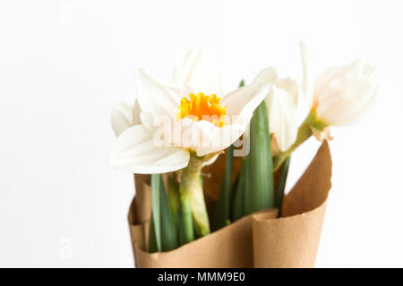 Nahaufnahme der Frühling Blumen Narzisse (Narcissus) Strauß Blumen auf weißem Hintergrund Stockfoto